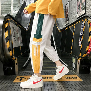 Streetwear Hip hop Joggers Pants Men Loose Harem Pants Ankle Length Trousers Sport Casual Sweatpants White Techwear